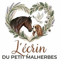 L'écrin de petit Malherbes élevage de cavaliers King Charles pension canine écuries