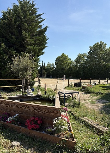 Écuries cheval propriétaire pension